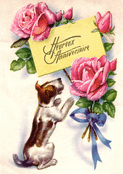 Un chiot tendre pour un joyeux anniversaire
